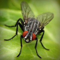 /album/vradij-lyubov-ivanivna/photolia-a01-jpg/