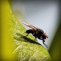 /album/vradij-lyubov-ivanivna/photolia-a04-jpg/