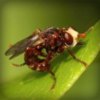 /album/vradij-lyubov-ivanivna/photolia-a06-jpg/